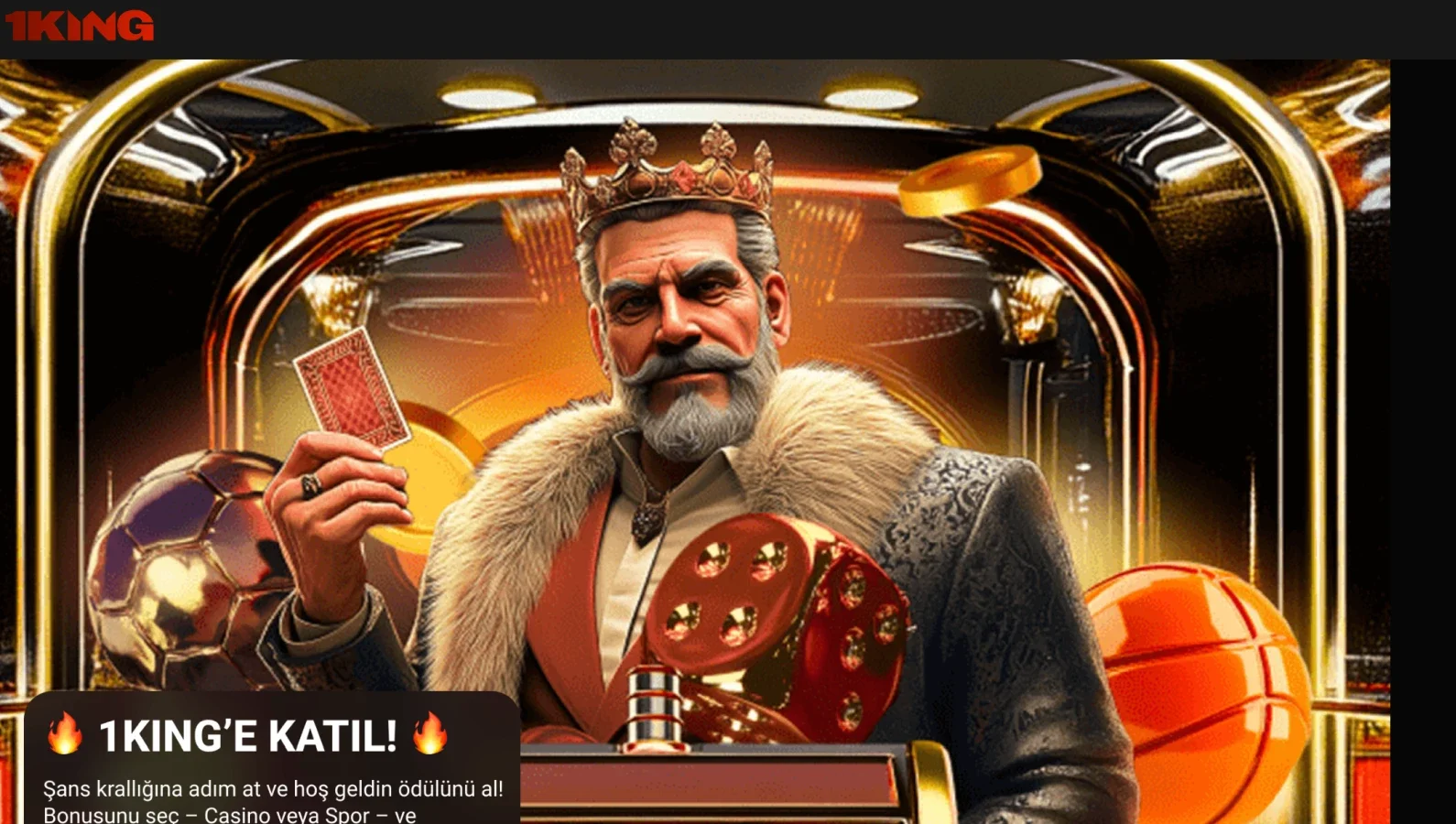 1King ekran görüntüsü