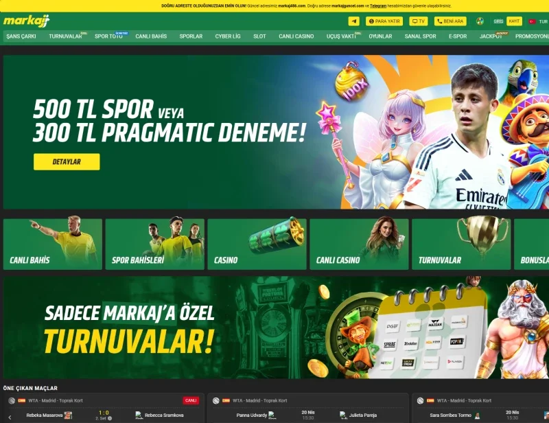 Markaj ekran görüntüsü