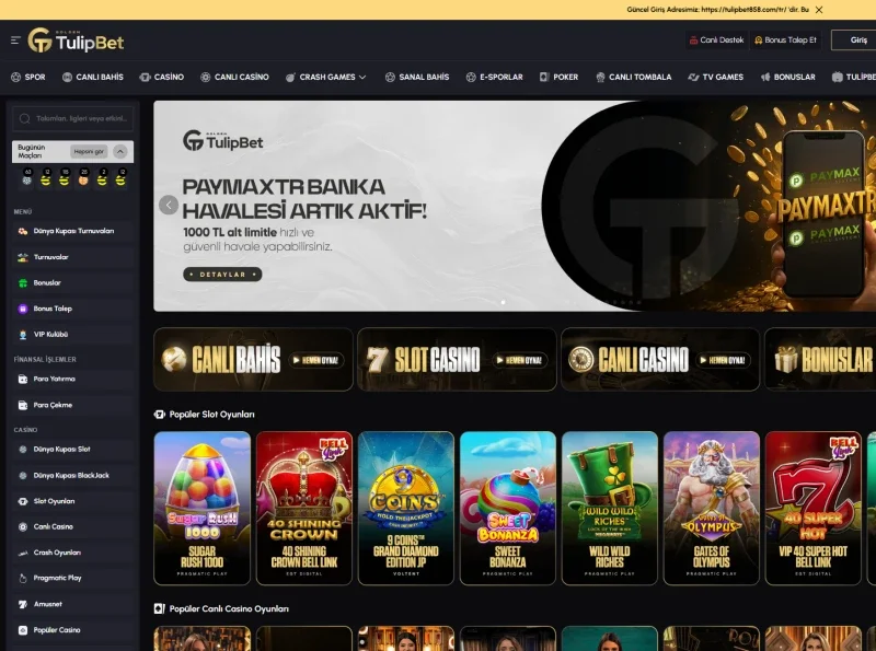 Tulipbet ekran görüntüsü